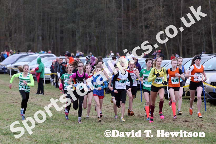 Under-15 girls start 651 North East Harrier League, Wallington Hall, organised by Morpeth Harriers. Photo: David T. Hewitson/Sports for All Pics